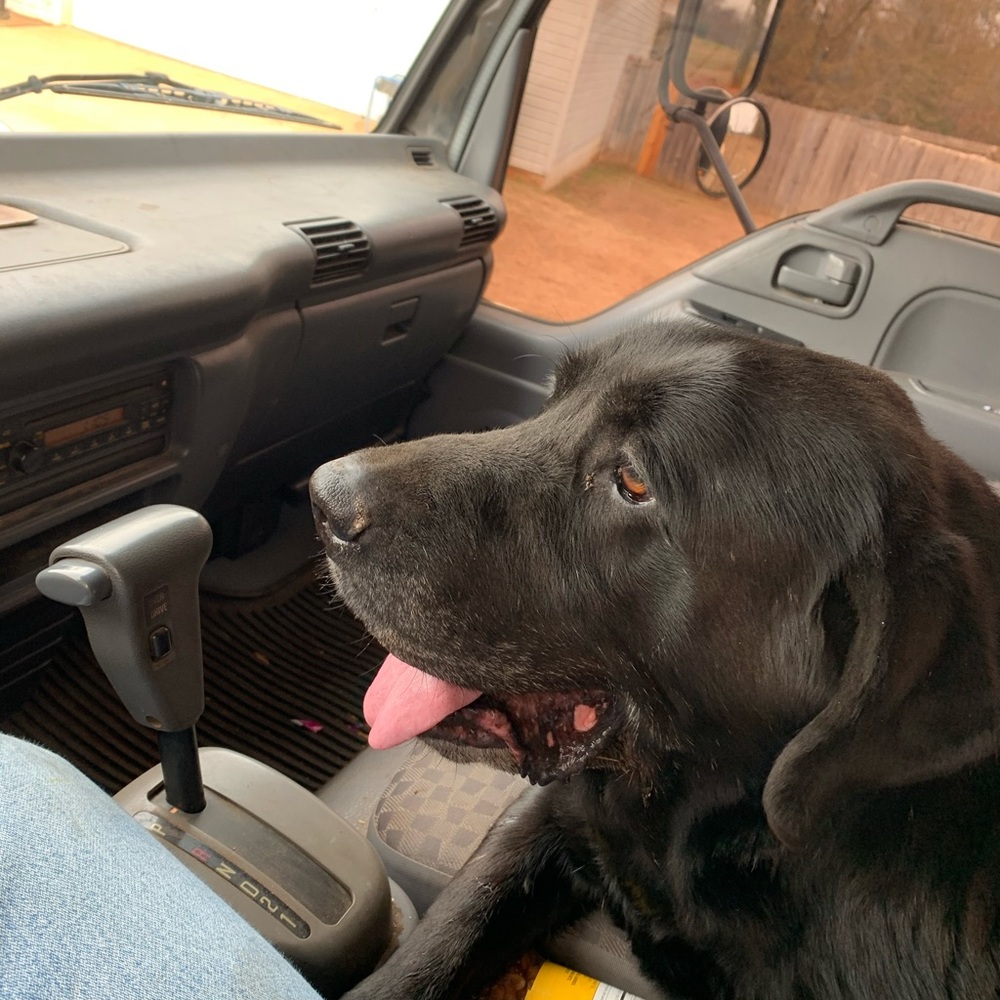 Meet your Posher, Caleb